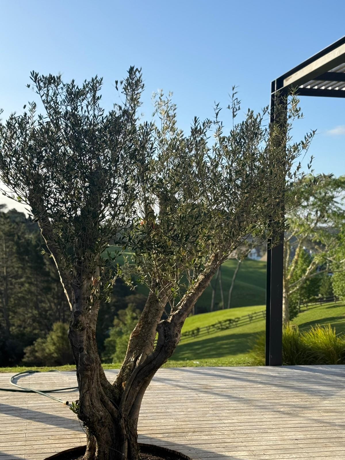 A deck built by Trusted Builders 